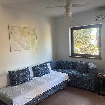 Domattina Vlasici, Pag Vlašići