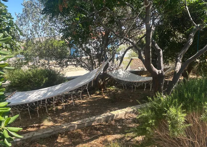 Domattina Vlasici, Pag Casa vacanze Vlašići